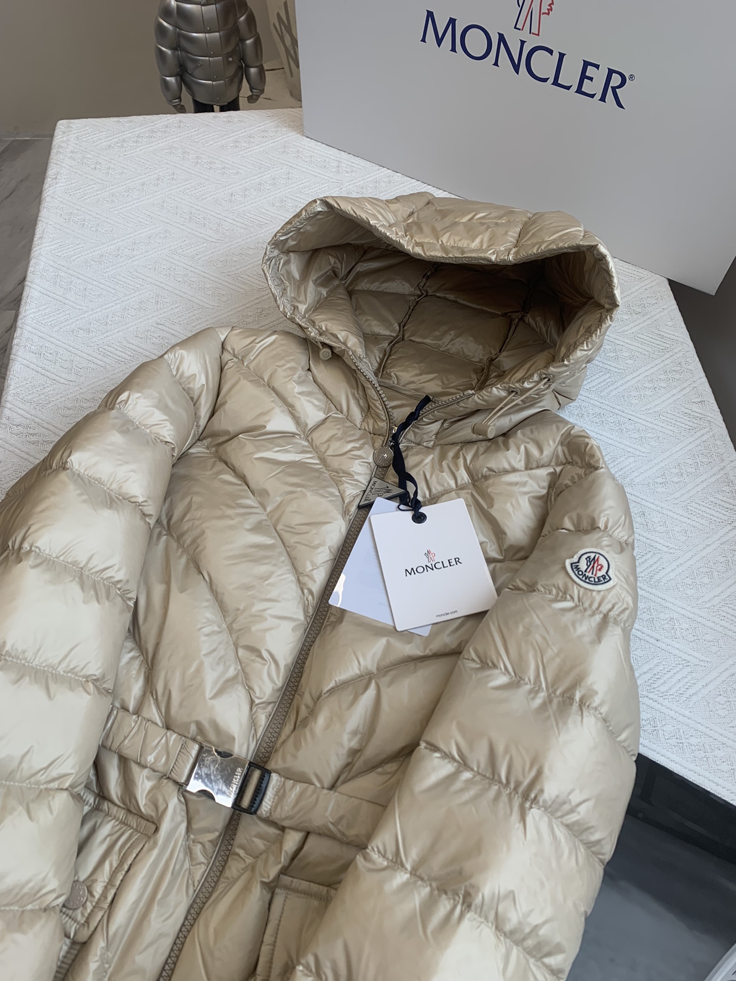 Moncler Down Jackets